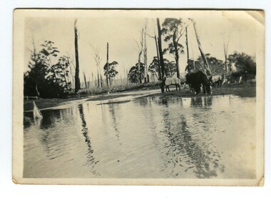 Photograph - Flood at Bete Bolong, c.1900-1930s