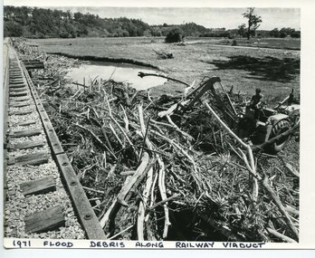 Photograph - 1971 Flood debris along railway viaduct, Orbost, 1971