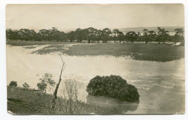 Photograph - Snowy River in flood, c.1900-1950s