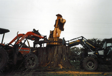 Pioneer Park Images