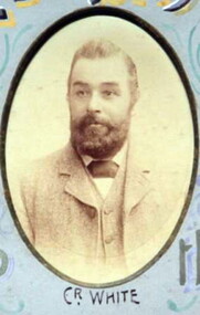 Photo - White, Richards & Co. Photos Ballaarat, White. Councilor 1893 - 1894, 1894 (estimated)