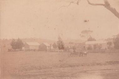 Photo, "Willow Vale" Waubra, Victoria, Late 19th Century or Early 20th Century