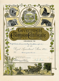 Certificate, Government Champion Certificate, 1951