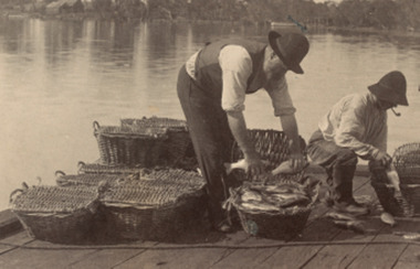 Photograph - Packing fish into baskets for transport to market