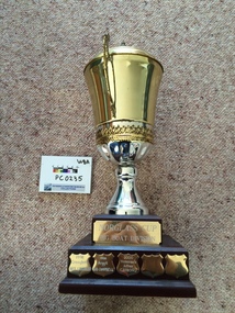 Award, Norglass Cup Big Boat Division
