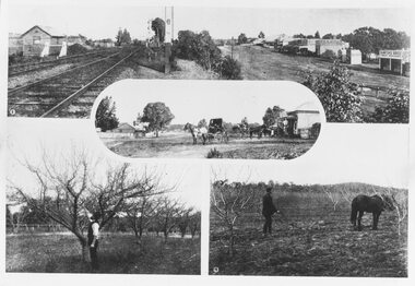 Photograph, Photos from a Weekly Times newspaper article featuring images of early Ringwood and East Ringwood circa 1910  (6 photos), Circa 1910