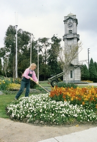 Photographs, Council working tending garden at Ringwood Clocktower