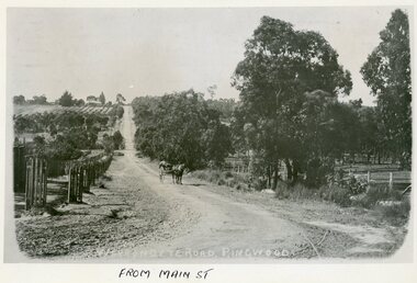 Photograph, Warrandyte Rd looking North from Main Street, Ringwood. 1908