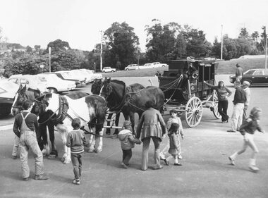 Photograph, Cobb & Co coach that carried Mayor Stan Morris to the 'Back to Ringwood' celebrations. 1974