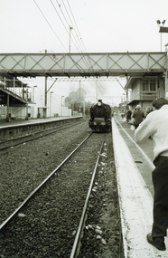Photographs, Steam Train at Ringwood Railway Station in 1999
