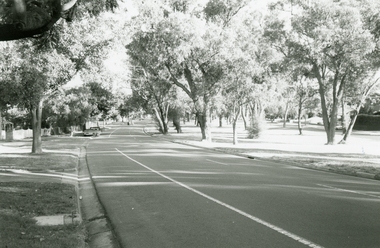 Photographs, Old Lilydale road, East Ringwood in 1999