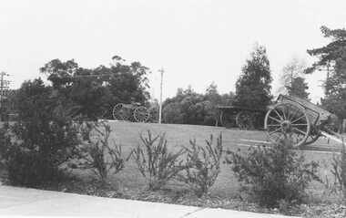 Photograph, 'Back to' Ringwood celebrations, 1974