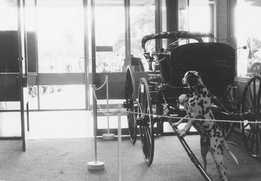 Photograph, "Back to" Ringwood celebrations, 1974