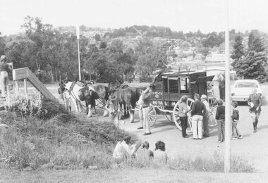 Photograph, "Back to" Ringwood celebrations,1974