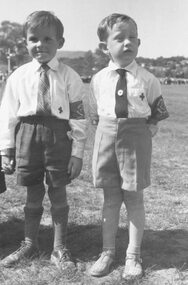 Photograph, City of Ringwood celebrations, 1960