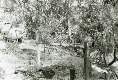 Photographs, 1979-80 MMBW pipe line project at Hubbard Reserve, North Ringwood � Grating over hole in Chalkley's 41 Burlock Avenue