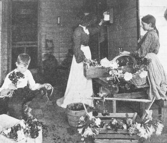 Photograph, Packing Flowers for Melbourne and Sydney at Mr. John Hill's Nursery, Ringwood