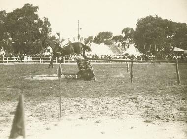 Photograph, Ringwood Show equestrian event - c.1912