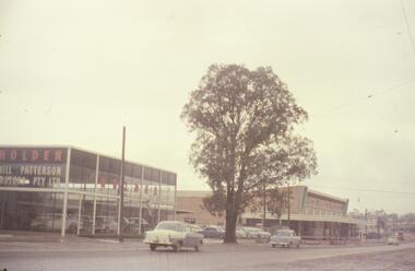 Photograph, Maroondah Highway, Ringwood- 1959. 70 year old Yellow Box tree, Whitehorse Rd. Ringwood