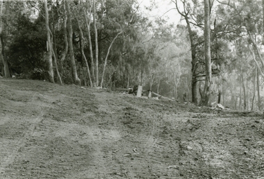 Photographs, 1979-80 MMBW pipe line project at Hubbard Reserve, North Ringwood � The new trach goes on down to Debbie Place