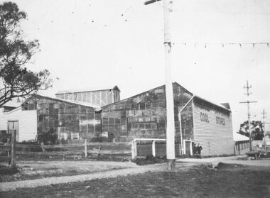 Photograph, Ringwood Cool Stores undergoing repair of fire damage - 1925