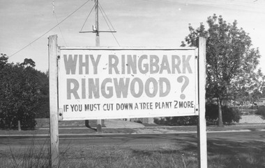 Photograph, "Why Ringbark Ringwood?" Council signs located at various sites around Ringwood in a drive to retain trees in the area - c.1960s