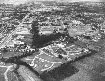 Photograph, Aerial photo of Cherrydene Estate in foreground off Oban Rd, Ringwood - c.1967