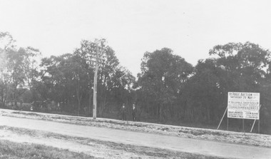 Photograph, Trees lining north side of Maroondah Highway between New Street and Ringwood Street, Ringwood - 1926.  Auction Sale sign is shown on the eventual Holeproof factory site, later street numbered around 103 Maroondah Highway, Ringwood