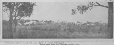 Photograph, Image used for land sale promotion of Pratt's Junction Estate opposite Mount Dandenong Road, Ringwood - 24/11/1923
