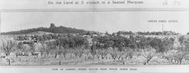 Photograph, Image used for land auction promotion of Garden Homes Estate between Mullum Mullum Road, Ringwood and Mullum Mullum Creek - 20/10/1923 , later developed to include The Centreway, Wattle Crescent, and Reserve Crescent, Ringwood