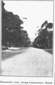 Photograph, Image used for land sale promotion of Coleman's Heathmont Estate, looking east along Canterbury Road, Heathmont.  Sale 15/12/1923 by Public Auction