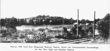 Photograph, Extract from Land Sale Brochure for East Ringwood Railway Estate - 1925