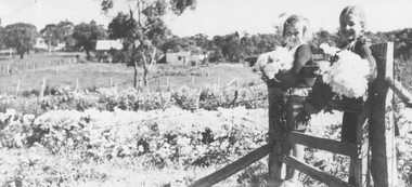Photograph, Hazel Howship and Merle Purser with chrysanthemums at Lutch Floral Farm, East Ringwood,1939