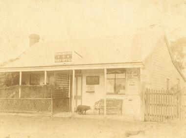 Photograph, Ringwood's first Post Office. c1900