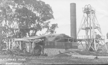 Photograph, Antimony Mine, Ringwood 1920