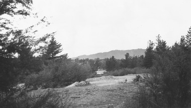 Photograph, Site of Antimony Mine Ringwood, 1964