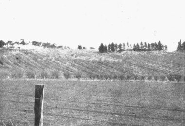 Photograph, Panoramic View of land for sale. Coleman's Heathmont Estate 15/12/1923