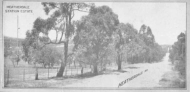Photograph, Heatherdale Station Estate - 1924