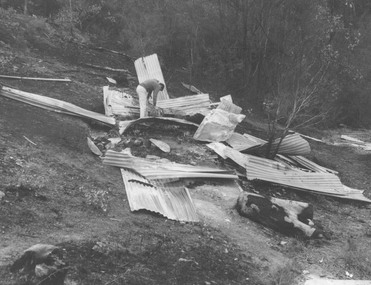 Photograph, Ringwood Rifle Range, Warrandyte after bushfire 1962