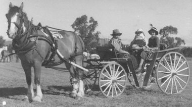 Photograph, Judy O'Brien of Mooroolbark and friends Shirley Bonica and Linda Stewart in old-fashioned dress, in horse drawn trap