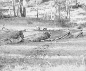 Photograph, Ringwood Rifle Club 1959.  300 yard mounds