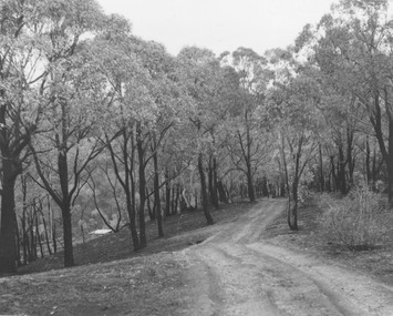 Photograph, Ringwood Rifle Range after the bushfires of January 1962