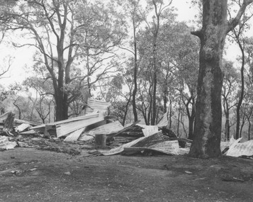 Photograph, Ringwood Rifle Range after the bushfires of January 1962