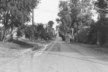 Photograph, Old Warrandyte Road at entrance to Parkwood High School 1981