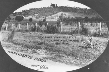 Photograph, View from Warrandyte Road opposite Ringwood Estate looking west, showing Pine Mont. (no date)