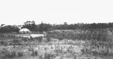 Photograph, Herman Pump's orchard and home Heathmont - 1923 - in vicinity of Royal Avenue.  House on Canterbury Road, later site of Uniting Church