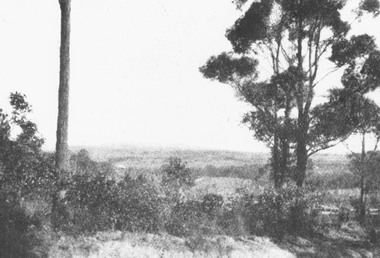 Photograph, View from Colemans Estate Heathmont, 1923.  Near corner of Bedford and Canterbury Roads