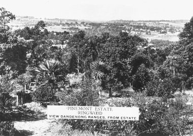 Photograph, View from Pinemont Estate, Loughnans Hill, looking east, c1930. (2 images- V0077, V0078)