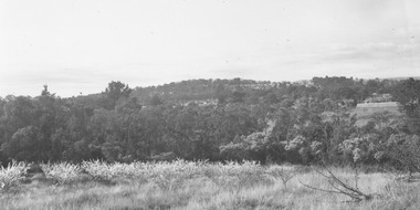 Photograph, View from rear of Jack Williams' orchard, Mullum Road looking east- 1964
