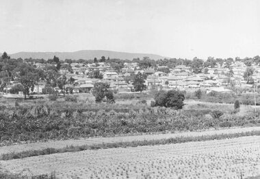 Photograph, New housing developments, New Street, 1960 viewed from railway line near Madden Street looking south-east